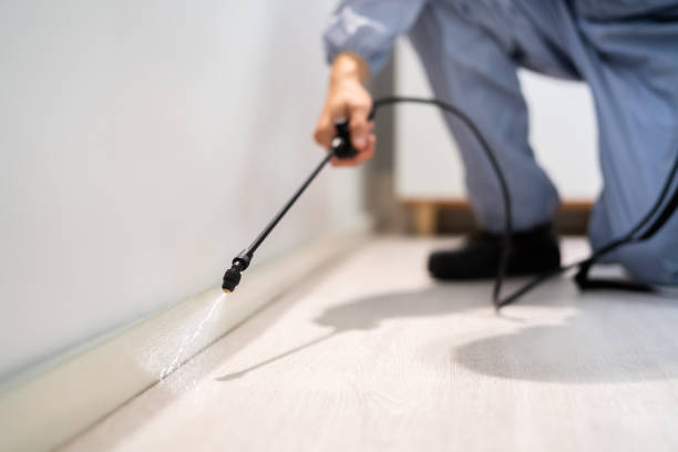 Licensed Termite Control service in Orofino, ID - Show Me Pest Control